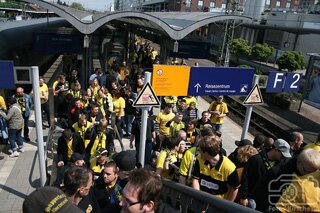Schwarz-Gelbe Invasion im Breisgau
